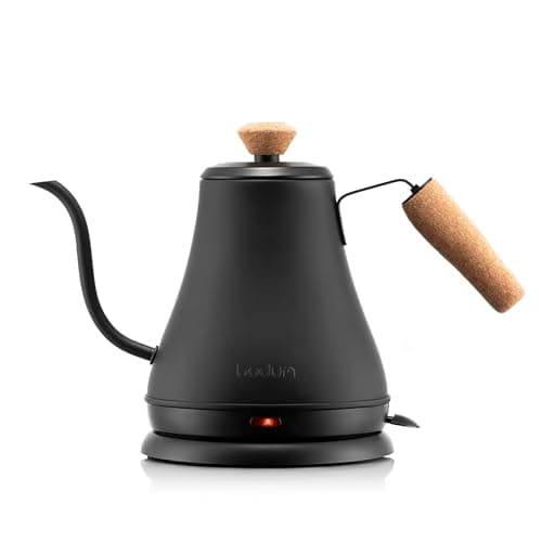 Bodum Bistro Gooseneck Electric Kettle