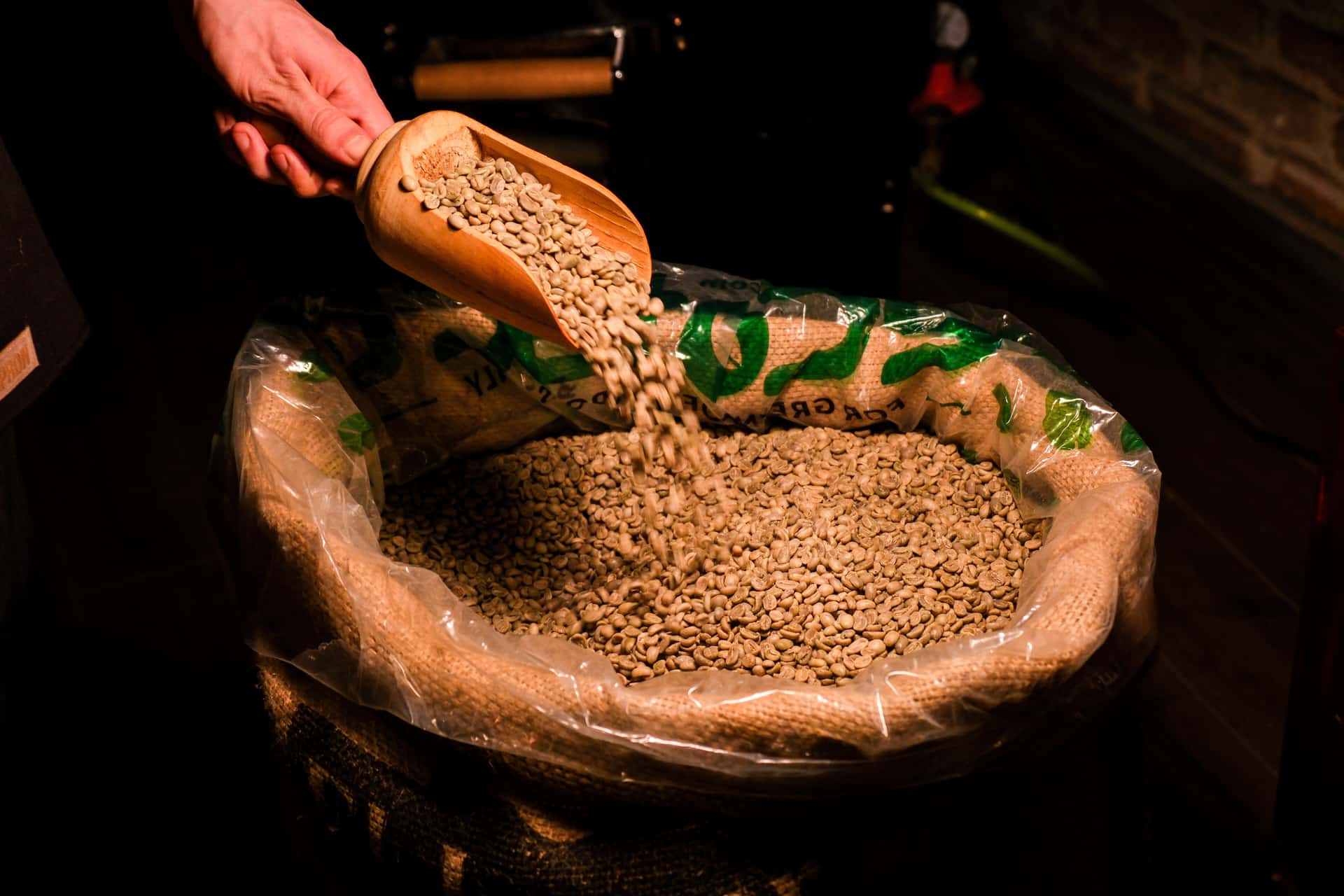 Roasted coffee beans in a scoop beside a bag